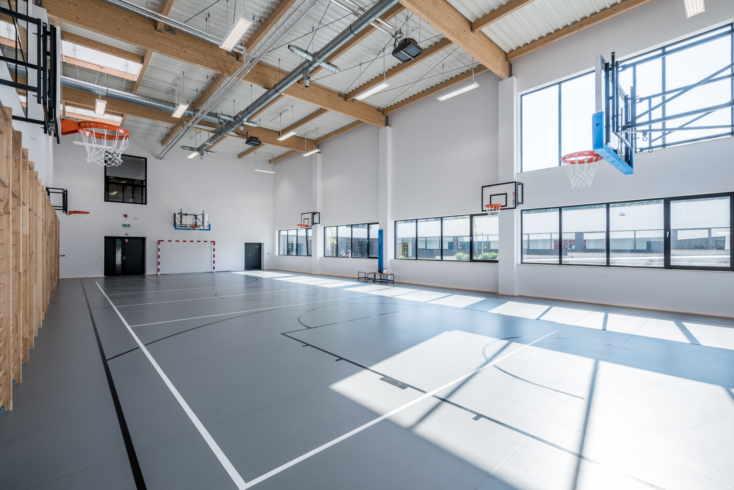 IPS Gym 3