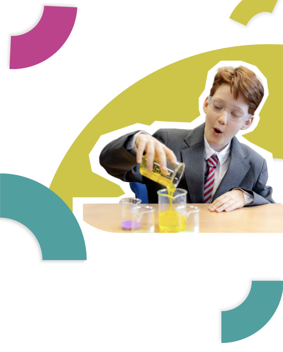 IPS International School of Wrocław